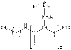 FITC-poly(L-lysine hydrobromide) Structure