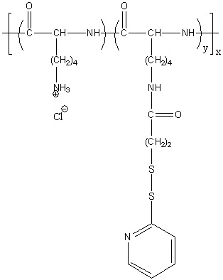 Poly(L-lysine hydrochloride)-graft-(3-(2-Pyridyldithio)propionamide) Structure Poly(L-lysine hydrochloride)-graft-(3-(2-Pyridyldithio)propionamide) Structure