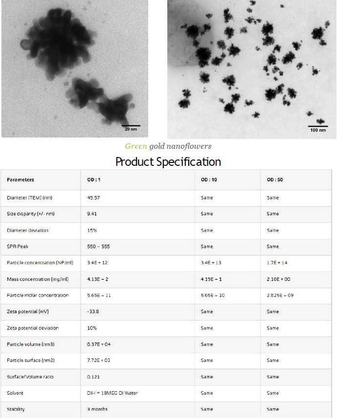 GS-FAuNPs - 15nm specs