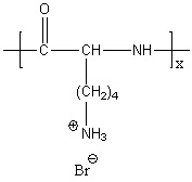 Poly(D-lysine hydrobromide) Structure