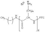 FITC-poly(L-lysine hydrobromide) Structure