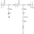 Poly(L-lysine hydrobromide)-graft-(4-pentynamide) Structure