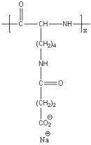 Poly(L-lysine succinylated) Structure